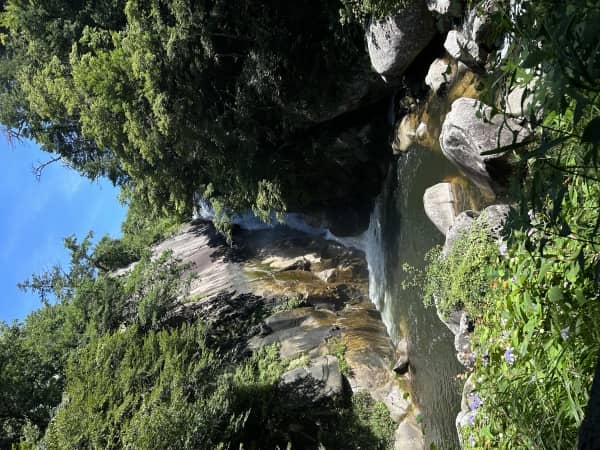 癒しの旅