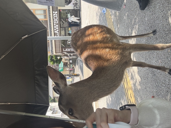 in広島