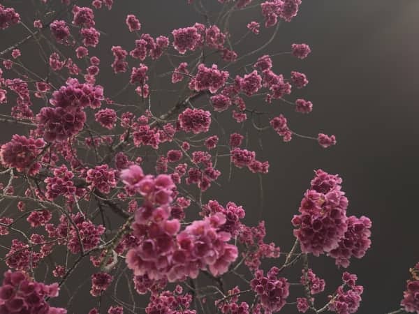 他者の目の中で、私たちはどこまで自分でいられるのか