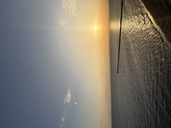 海