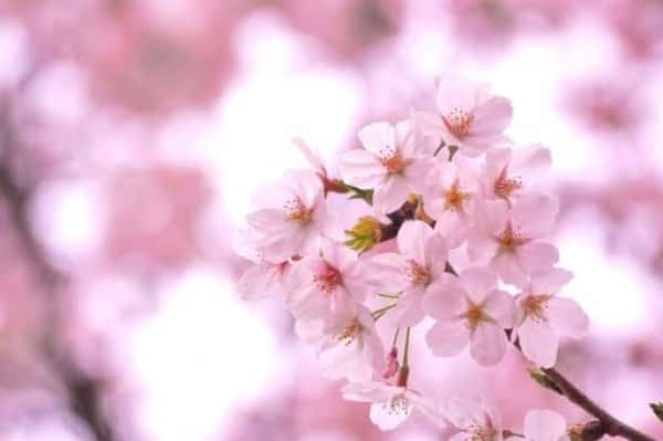 ３月です！