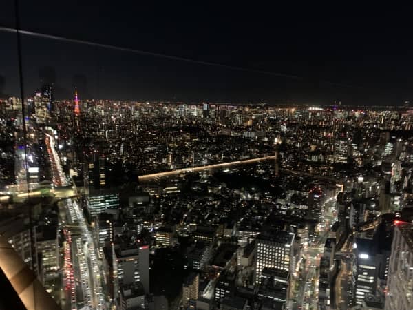 最高の景色