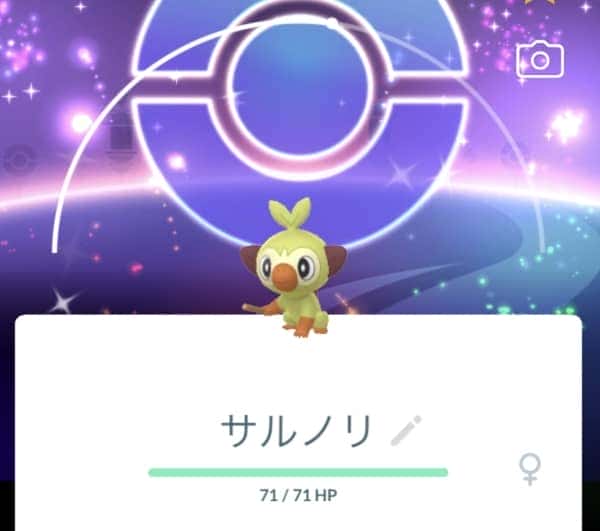 真の御三家