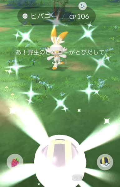 思ったよりオレンジ