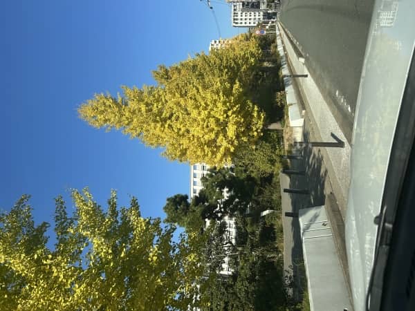 地元編